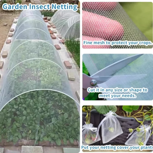 anti moustique jardin