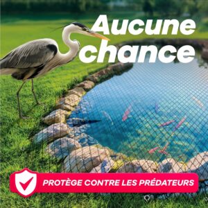 Filet pour bassin (6x4m)