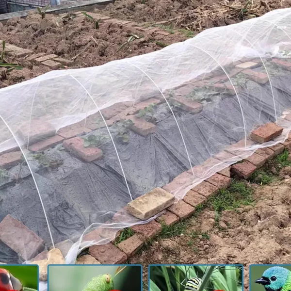 moustiquaire filet potager