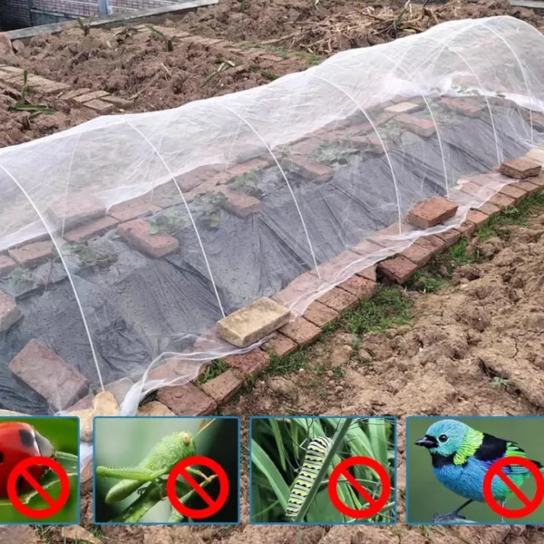 protection légumes